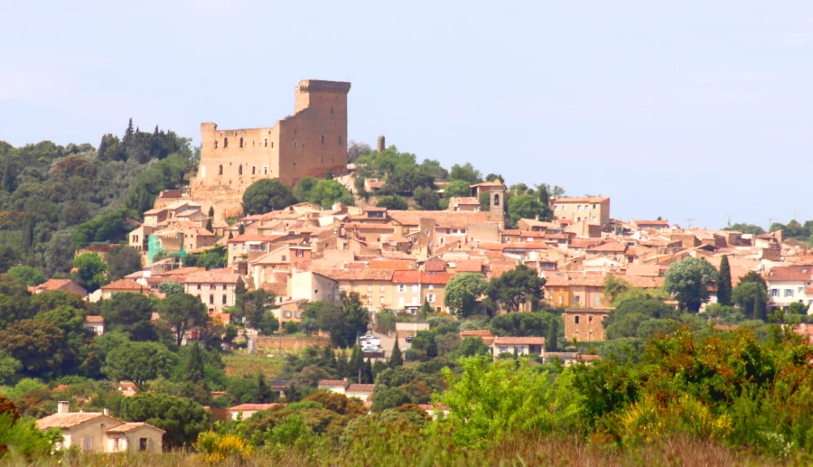 Blick auf Chateau neuf du Pape
