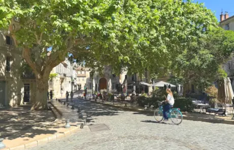 Avignon